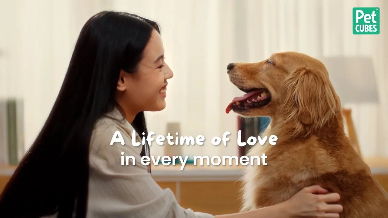 PetCubes — A Lifetime of Love
